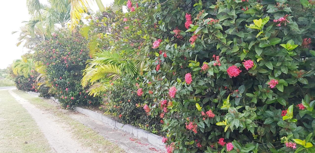 La Belle Creole Villa Sainte-Anne  Exterior foto