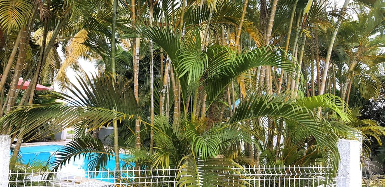 La Belle Creole Villa Sainte-Anne  Exterior foto