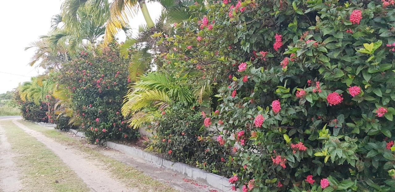 La Belle Creole Villa Sainte-Anne  Exterior foto